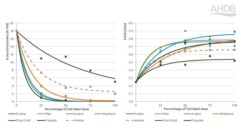 Sclerotinia disease and yield fungicide performance response chart 2024